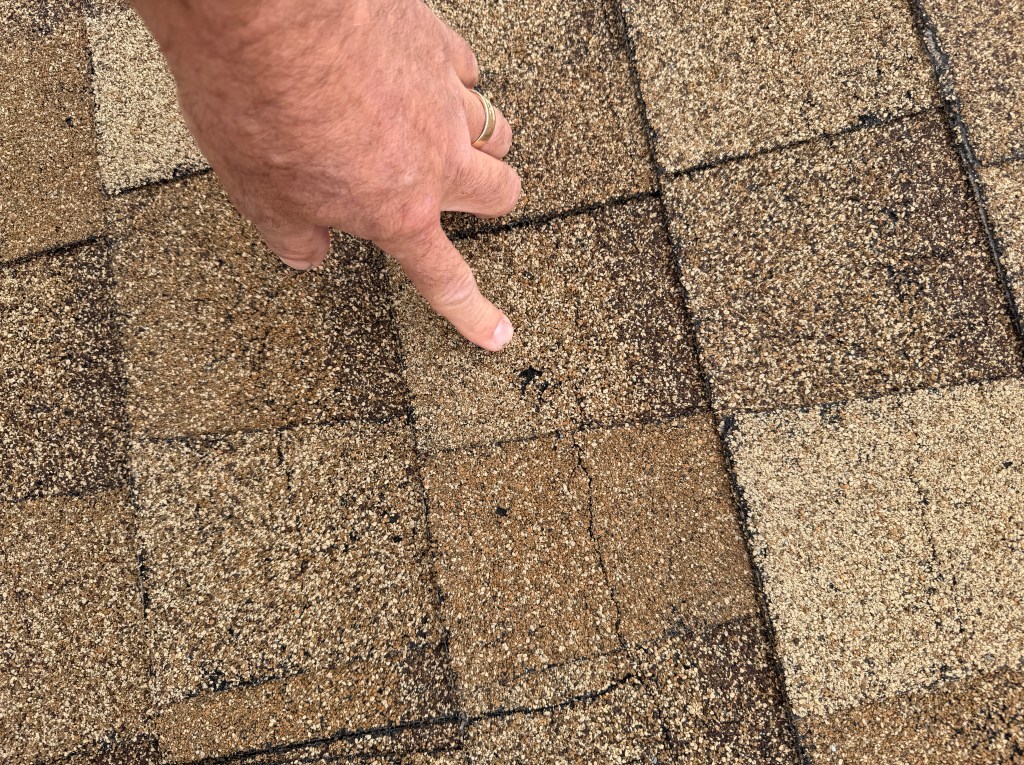 Hail impact damage on asphalt roof shingles during a Colorado roof inspection
